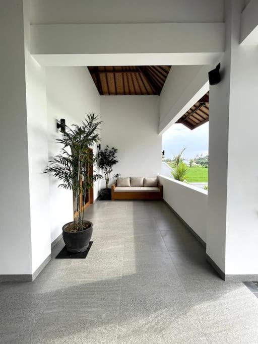 Villa Vespa Lovina Kültér fotó