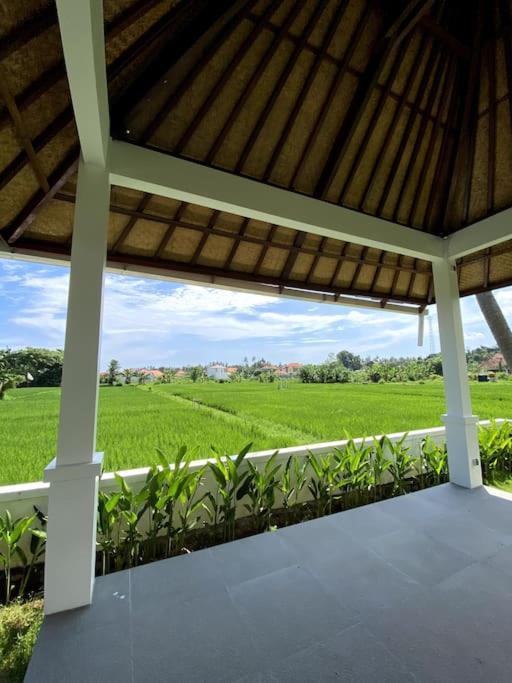 Villa Vespa Lovina Kültér fotó